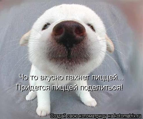 Котоматрица: Чо то вкусно пахнет пиццей... Придется пиццей поделиться!