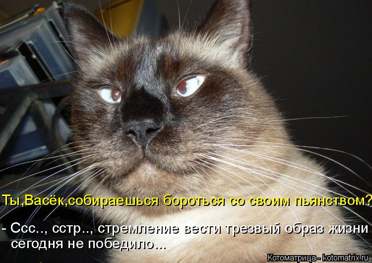 Котоматрица: Ты,Васёк,собираешься бороться со своим пьянством? - Ссс.., сстр.., стремление вести трезвый образ жизни  сегодня не победило...