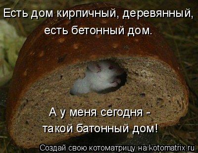 Есть дом кирпичный, деревянный, есть бетонный дом. А у меня сегодня - такой батонный дом!... Котоматрица: Есть дом кирпичный, деревянный, есть бетонный дом. А у меня сегодня - такой батонный дом!