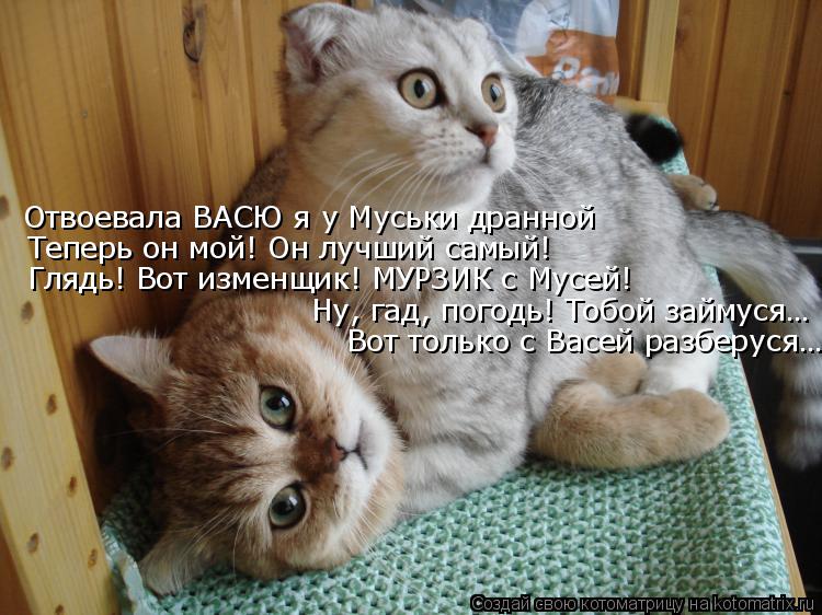 Котоматрица: Отвоевала ВАСЮ я у Муськи дранной  Теперь он мой! Он лучший самый! Глядь! Вот изменщик! МУРЗИК с Мусей! Ну, гад, погодь! Тобой займуся… Вот тол