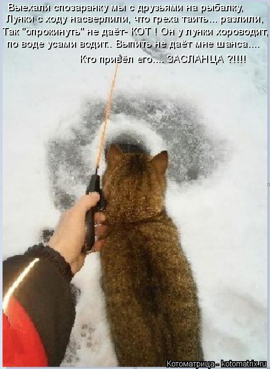Выехали спозаранку мы с друзьями на рыбалку, Лунки с ходу насверлили, что греха таить... разлили, Так... Котоматрица: Выехали спозаранку мы с друзьями на рыбалку, Лунки с ходу насверлили, что греха таить... разлили, Так "опрокинуть" не даёт- КОТ ! Он у лунки хор