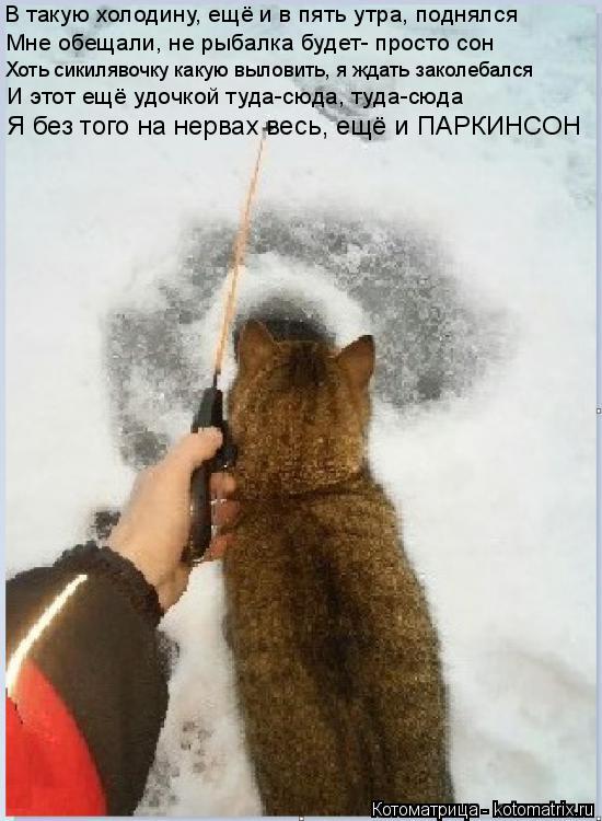 В такую холодину, ещё и в пять утра, поднялся Мне обещали, не рыбалка будет- просто сон Хоть сикиляво... Котоматрица: В такую холодину, ещё и в пять утра, поднялся Мне обещали, не рыбалка будет- просто сон Хоть сикилявочку какую выловить, я ждать заколебался