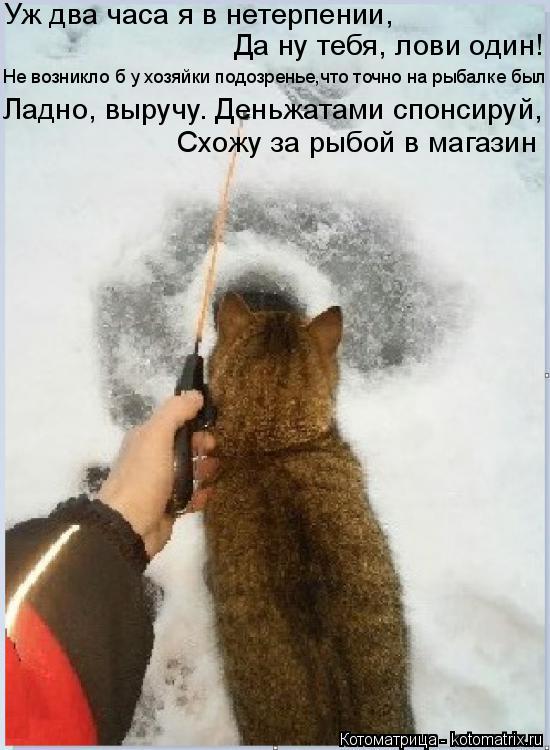 Уж два часа я в нетерпении, Да ну тебя, лови один! Не возникло б у хозяйки подозренье,что точно на ры... Котоматрица: Уж два часа я в нетерпении, Да ну тебя, лови один! Не возникло б у хозяйки подозренье,что точно на рыбалке был Ладно, выручу. Деньжатами спонс