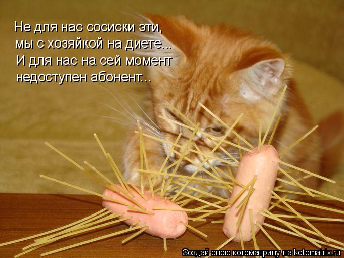 Котоматрица: Не для нас сосиски эти,  мы с хозяйкой на диете... И для нас на сей момент недоступен абонент...