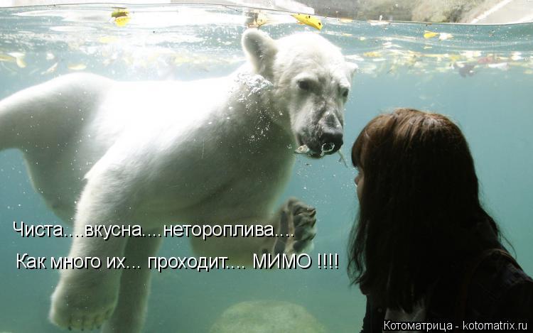 Чиста....вкусна....нетороплива.... Как много их... проходит.... МИМО !!!!... Котоматрица: Чиста....вкусна....нетороплива.... Как много их... проходит.... МИМО !!!!