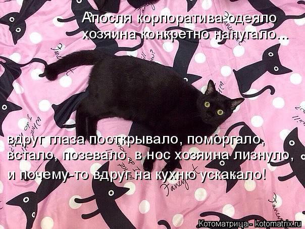 Апосля корпоратива одеяло хозяина конкретно напугало... вдруг глаза пооткрывало, поморгало, встало, ... Котоматрица: Апосля корпоратива одеяло хозяина конкретно напугало... вдруг глаза пооткрывало, поморгало, встало, позевало, в нос хозяина лизнуло, и поче