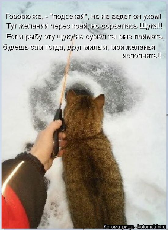 Говорю же, - "подсекай", но не ведет он ухом! Тут желаний через край, но сорвалась Щука!! Если рыбу э... Котоматрица: Говорю же, - "подсекай", но не ведет он ухом! Тут желаний через край, но сорвалась Щука!! Если рыбу эту щуку не сумел ты мне поймать, будешь сам т