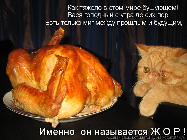 Как тяжело в этом мире бушующем! Вася голодный с утра до сих пор... Есть только миг между прошлым и б... Котоматрица: Как тяжело в этом мире бушующем! Вася голодный с утра до сих пор... Есть только миг между прошлым и будущим, Именно он называется Ж О Р !