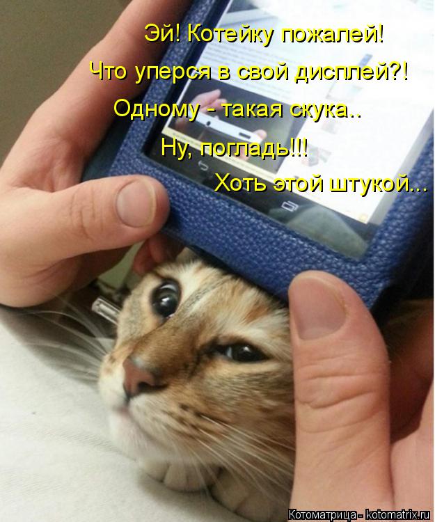 Эй! Котейку пожалей! Что уперся в свой дисплей?! Одному - такая скука.. Ну, погладь!!! Хоть этой шту... Котоматрица: Эй! Котейку пожалей! Что уперся в свой дисплей?! Одному - такая скука.. Ну, погладь!!! Хоть этой штукой...