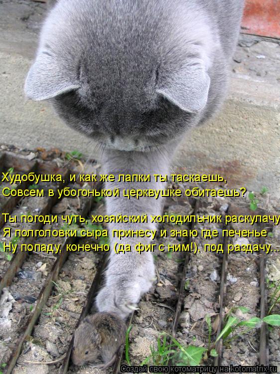 Котоматрица: Худобушка, и как же лапки ты таскаешь, Совсем в убогонькой церквушке обитаешь? Ты погоди чуть, хозяйский холодильник раскулачу Я полголовки