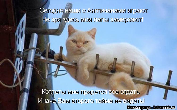 Котоматрица: Иначе Вам второго тайма не видать! Сегодня наши с Англичанами играют. Не зря здесь мои лапы замерзают! Котлеты мне придется все отдать.