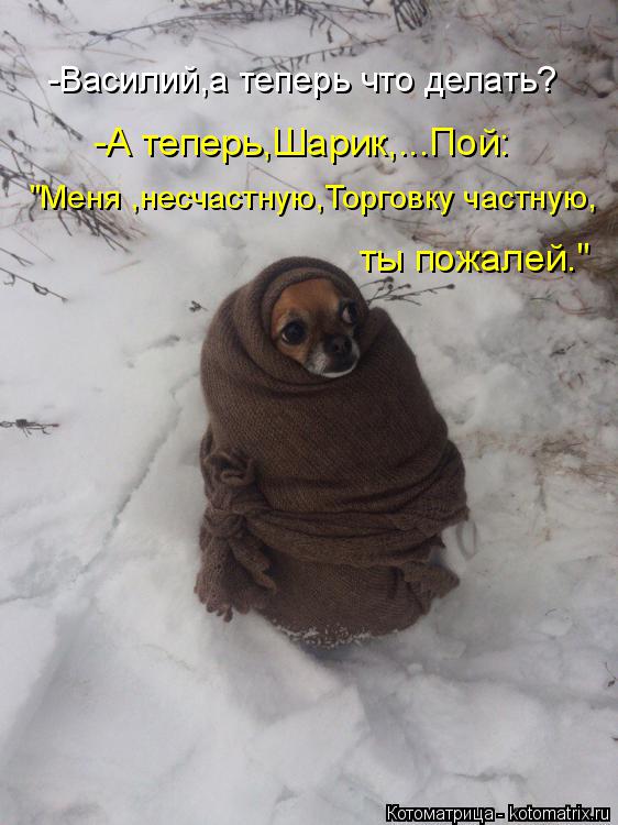 -Василий,а теперь что делать? -А теперь,Шарик,...Пой: ты пожалей." "Меня ,несчастную,Торговку частную... Котоматрица: -Василий,а теперь что делать? -А теперь,Шарик,...Пой: ты пожалей." "Меня ,несчастную,Торговку частную,