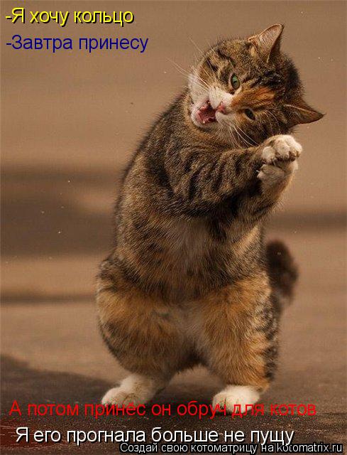 -Я хочу кольцо -Завтра принесу А потом принёс он обруч для котов Я в сугроб упала а потом я его прог... Котоматрица: -Я хочу кольцо -Завтра принесу А потом принёс он обруч для котов Я в сугроб упала а потом я его прогнала больше не пущу Я его прогнала больше