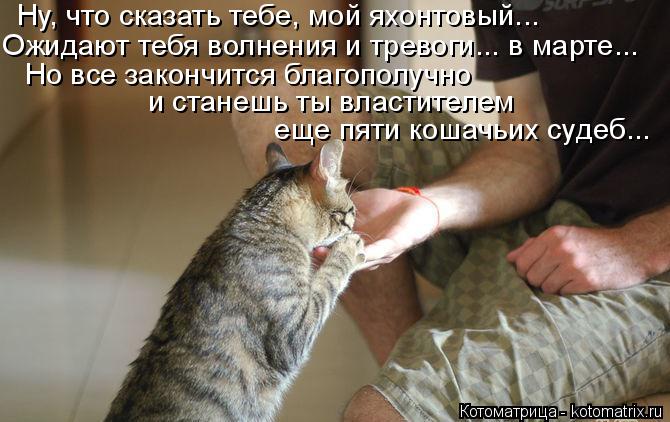Ну, что сказать тебе, мой яхонтовый... Ожидают тебя волнения и тревоги... в марте... Но все закончитс... Котоматрица: Ну, что сказать тебе, мой яхонтовый... Ожидают тебя волнения и тревоги... в марте... Но все закончится благополучно и станешь ты властителем ещ