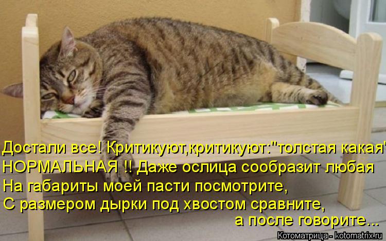 а после говорите... Достали все! Критикуют,критикуют:"толстая какая" НОРМАЛЬНАЯ !! Даже ослица сообра... Котоматрица: а после говорите... Достали все! Критикуют,критикуют:"толстая какая" НОРМАЛЬНАЯ !! Даже ослица сообразит любая С размером дырки под хвостом с
