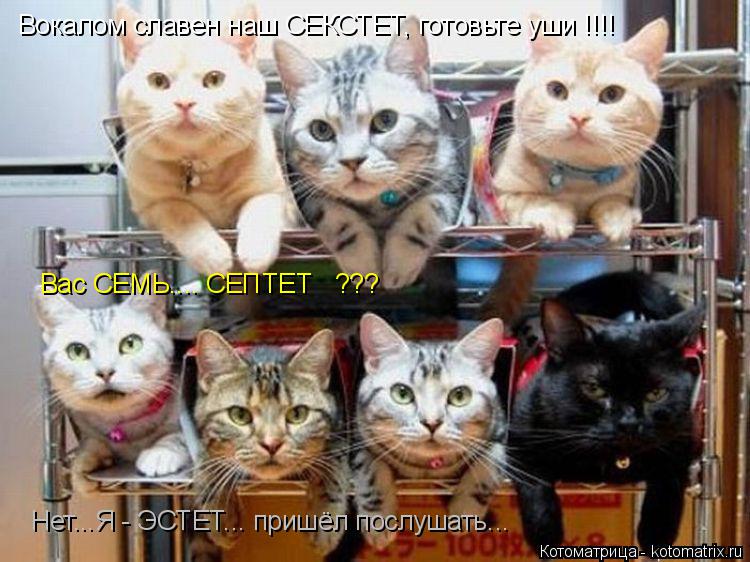 Вокалом славен наш СЕКСТЕТ, готовьте уши !!!! Нет...Я - ЭСТЕТ... пришёл послушать... Вас СЕМЬ.... СЕП... Котоматрица: Вокалом славен наш СЕКСТЕТ, готовьте уши !!!! Нет...Я - ЭСТЕТ... пришёл послушать... Вас СЕМЬ.... СЕПТЕТ ???
