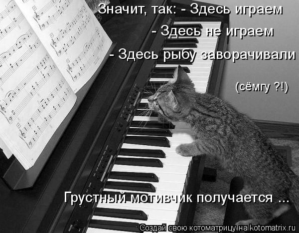 Значит, так: - Здесь играем - Здесь не играем - Здесь рыбу заворачивали (сёмгу ?!) Грустный мотивчик ... Котоматрица: Значит, так: - Здесь играем - Здесь не играем - Здесь рыбу заворачивали (сёмгу ?!) Грустный мотивчик получается ...