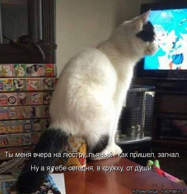 Ну а я тебе сегодня, в кружку, от души..... Ты меня вчера на люстру, пьяный , как пришел, загнал.... Котоматрица: Ну а я тебе сегодня, в кружку, от души..... Ты меня вчера на люстру, пьяный , как пришел, загнал.