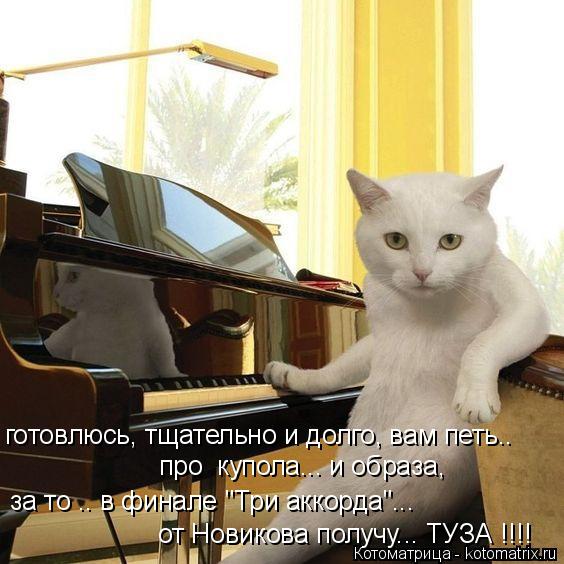 за то .. в финале "Три аккорда"... от Новикова получу... ТУЗА !!!! про купола... и образа, готовлюсь... Котоматрица: за то .. в финале "Три аккорда"... от Новикова получу... ТУЗА !!!! про купола... и образа, готовлюсь, тщательно и долго, вам петь..