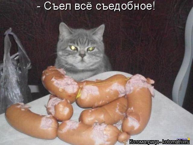 - Съел всё съедобное!... Котоматрица: - Съел всё съедобное!