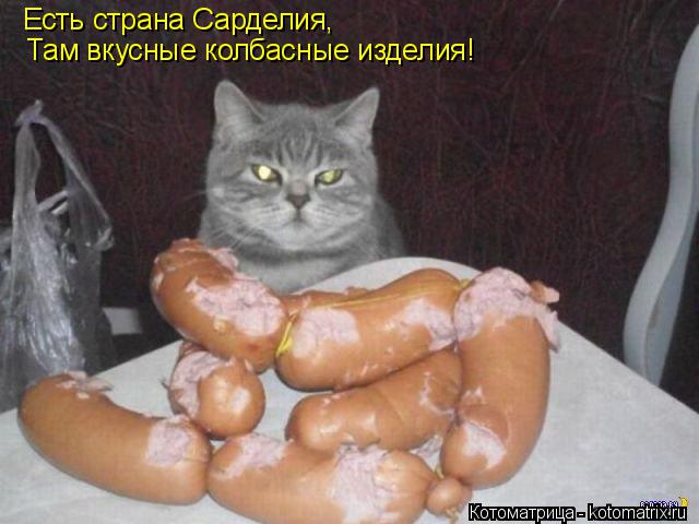 Есть страна Сарделия, Там вкусные колбасные изделия!... Котоматрица: Есть страна Сарделия, Там вкусные колбасные изделия!