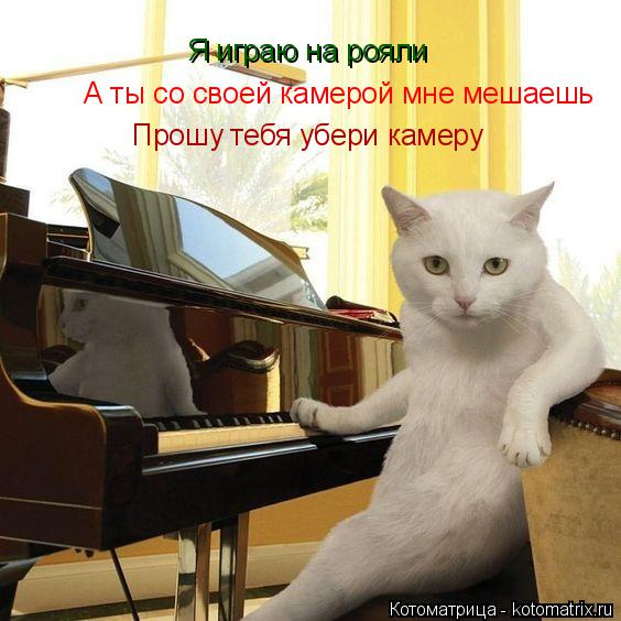 Я играю на рояли А ты с камерой мне мешаешь А ты со своей камерой мне мешаешь Прошу тебя убери камеру... Котоматрица: Я играю на рояли А ты с камерой мне мешаешь А ты со своей камерой мне мешаешь Прошу тебя убери камеру