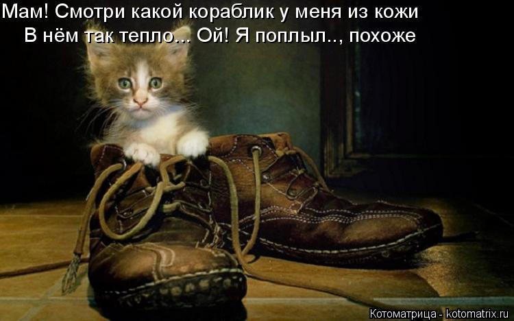 Мам! Смотри какой кораблик у меня из кожи В нём так тепло... Ой! Я поплыл.., похоже... Котоматрица: Мам! Смотри какой кораблик у меня из кожи В нём так тепло... Ой! Я поплыл.., похоже