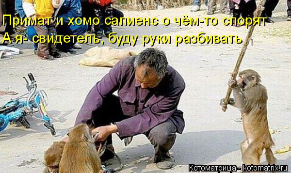 Примат и хомо сапиенс о чём-то спорят А я- свидетель, буду руки разбивать... Котоматрица: Примат и хомо сапиенс о чём-то спорят А я- свидетель, буду руки разбивать