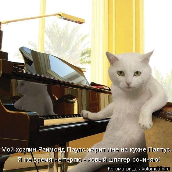 Мой хозяин Раймонд Паулс жарит мне на кухне Палтус. Я же время не теряю - новый шлягер сочиняю!... Котоматрица: Мой хозяин Раймонд Паулс жарит мне на кухне Палтус. Я же время не теряю - новый шлягер сочиняю!