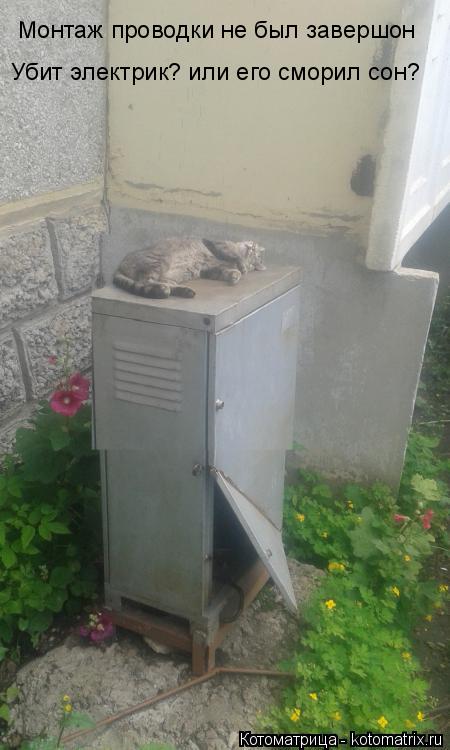 Монтаж проводки не был завершон Убит электрик? или его сморил сон?... Котоматрица: Монтаж проводки не был завершон Убит электрик? или его сморил сон?