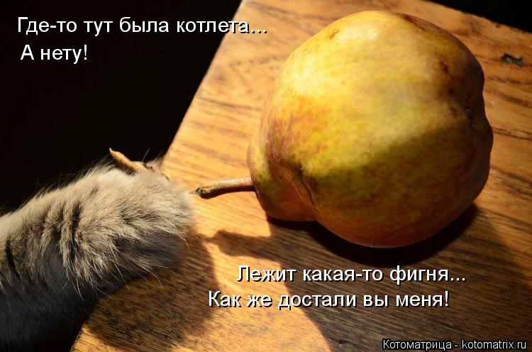 Где-то тут была котлета... А нету! Лежит какая-то фигня... Как же достали вы меня!... Котоматрица: Где-то тут была котлета... А нету! Лежит какая-то фигня... Как же достали вы меня!