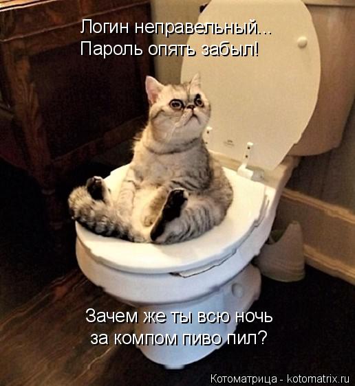 Логин неправельный... Пароль опять забыл! Зачем же ты всю ночь за компом пиво пил?... Котоматрица: Логин неправельный... Пароль опять забыл! Зачем же ты всю ночь за компом пиво пил?