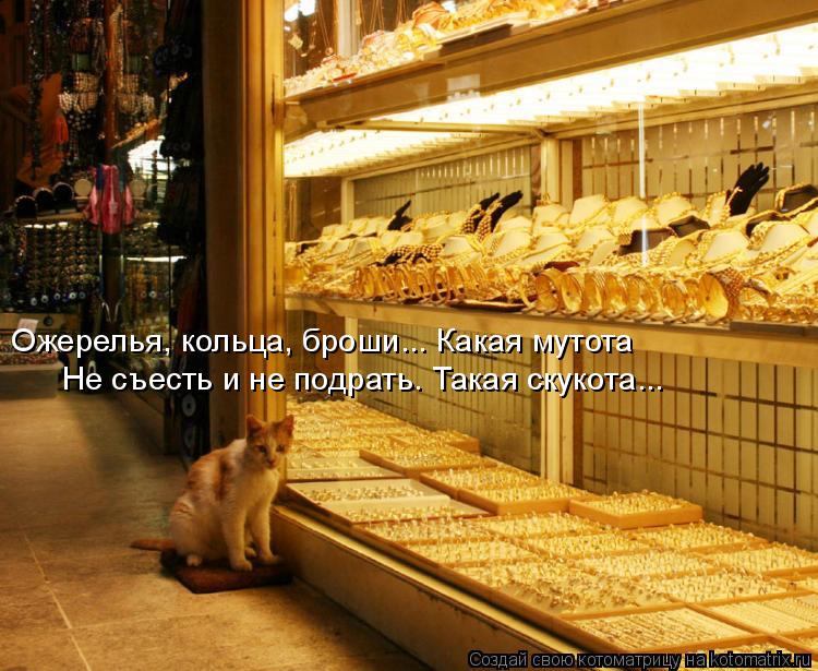 Ожерелья, кольца, броши... Какая мутота Не съесть и не подрать. Такая скукота...... Котоматрица: Ожерелья, кольца, броши... Какая мутота Не съесть и не подрать. Такая скукота...