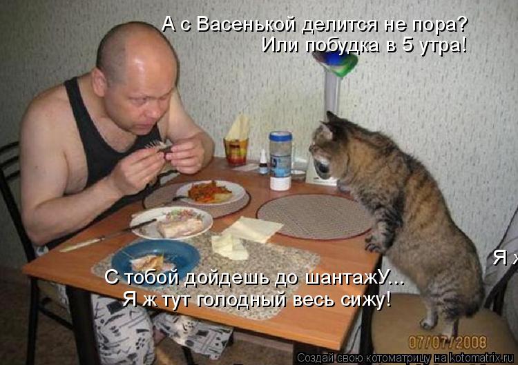 А с Васенькой делится не пора? Или побудка в 5 утра! С тобой дойдешь до шантажУ... Я ж тут голодный в... Котоматрица: А с Васенькой делится не пора? Или побудка в 5 утра! С тобой дойдешь до шантажУ... Я ж тут голодный весь сижу! Я ж тут голодный весь сижу!