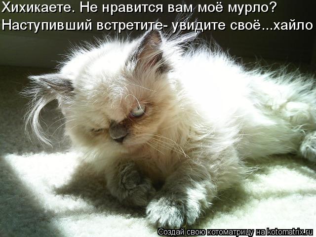 Хихикаете. Не нравится вам моё мурло? Наступивший встретите- увидите своё...хайло... Котоматрица: Хихикаете. Не нравится вам моё мурло? Наступивший встретите- увидите своё...хайло