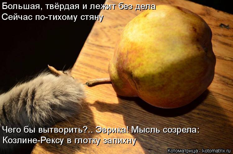 Большая, твёрдая и лежит без дела Сейчас по-тихому стяну Чего бы вытворить?.. Эврика! Мысль созрела: ... Котоматрица: Большая, твёрдая и лежит без дела Сейчас по-тихому стяну Чего бы вытворить?.. Эврика! Мысль созрела: Козлине-Рексу в глотку запихну