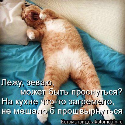Лежу, зеваю, может быть проснуться? На кухне что-то загремело, не мешало б прошвырнуться... Котоматрица: Лежу, зеваю, может быть проснуться? На кухне что-то загремело, не мешало б прошвырнуться