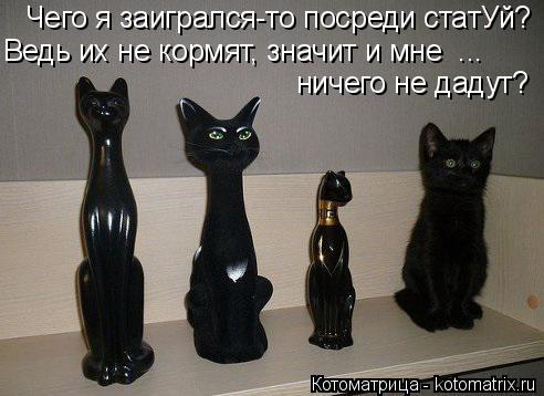 Чего я заигрался-то посреди статУй? Ведь их не кормят, значит и мне ... ничего не дадут?... Котоматрица: Чего я заигрался-то посреди статУй? Ведь их не кормят, значит и мне ... ничего не дадут?