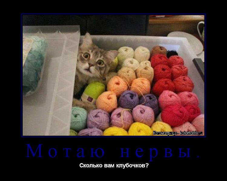 Мотаю нервы. Сколько вам клубочков?... Котоматрица: Мотаю нервы. Сколько вам клубочков?
