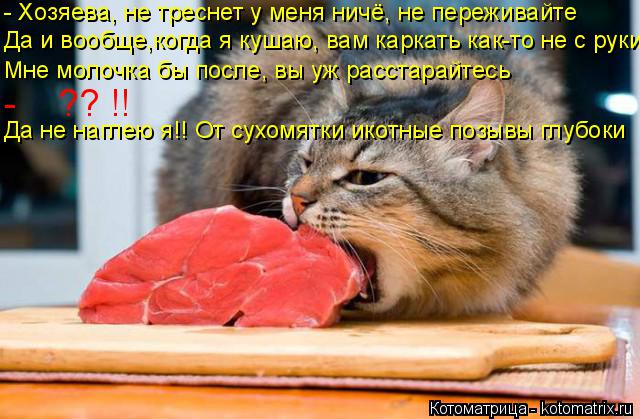 Мне молочка бы после, вы уж расстарайтесь Да и вообще,когда я кушаю, вам каркать как-то не с руки - Х... Котоматрица: Мне молочка бы после, вы уж расстарайтесь Да и вообще,когда я кушаю, вам каркать как-то не с руки - Хозяева, не треснет у меня ничё, не пережива