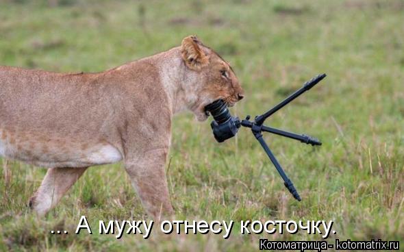 Котоматрица: ... А мужу отнесу косточку.