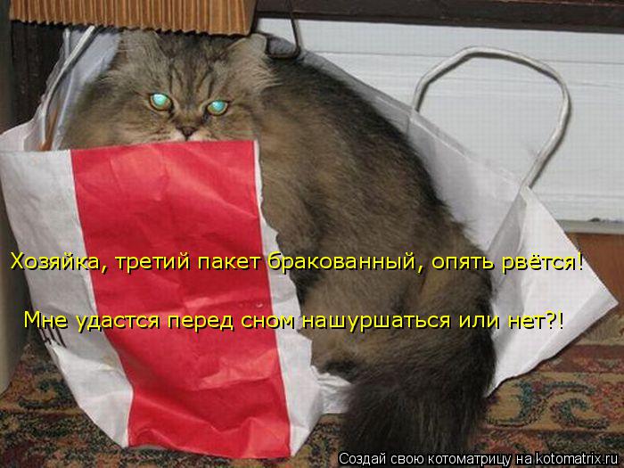 Хозяйка, третий пакет бракованный, опять рвётся! Мне удастся перед сном нашуршаться или нет?!... Котоматрица: Хозяйка, третий пакет бракованный, опять рвётся! Мне удастся перед сном нашуршаться или нет?!