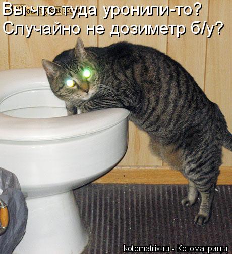 Вы что туда уронили-то? Случайно не дозиметр б/у?... Котоматрица: Вы что туда уронили-то? Случайно не дозиметр б/у?