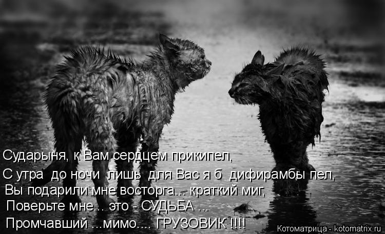 Сударыня, к Вам сердцем прикипел, Вы подарили мне восторга... краткий миг, Поверьте мне... это - СУДЬ... Котоматрица: Сударыня, к Вам сердцем прикипел, Вы подарили мне восторга... краткий миг, Поверьте мне... это - СУДЬБА ... Промчавший ...мимо.... ГРУЗОВИК !!!! С утр