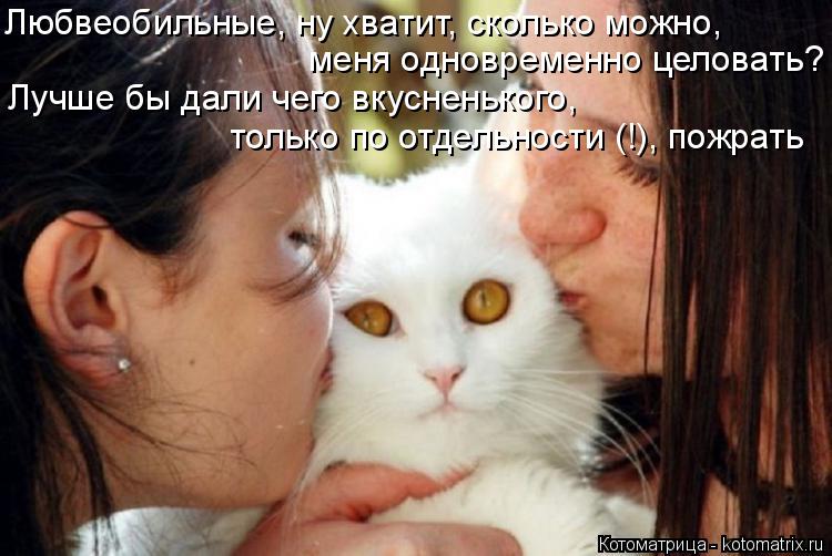 меня одновременно целовать? Лучше бы дали чего вкусненького, только по отдельности (!), пожрать Любве... Котоматрица: меня одновременно целовать? Лучше бы дали чего вкусненького, только по отдельности (!), пожрать Любвеобильные, ну хватит, сколько можно,