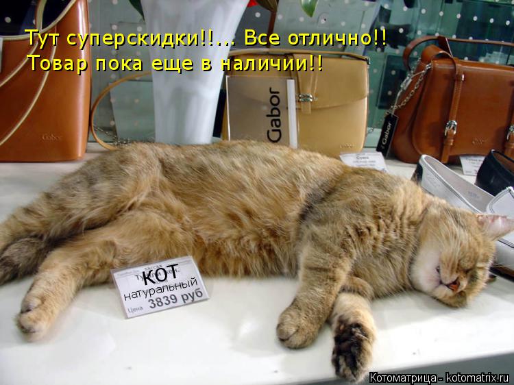 КОТ натуральный Тут суперскидки!!... Все отлично!! Товар пока еще в наличии!!... Котоматрица: КОТ натуральный Тут суперскидки!!... Все отлично!! Товар пока еще в наличии!!