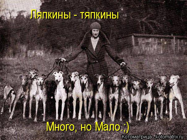 Ляпкины - тяпкины Много, но Мало.;)... Котоматрица: Ляпкины - тяпкины Много, но Мало.;)