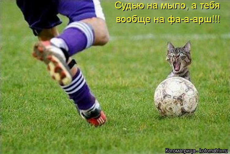 Судью на мыло, а тебя вообще на фа-а-арш!!!... Котоматрица: Судью на мыло, а тебя вообще на фа-а-арш!!!