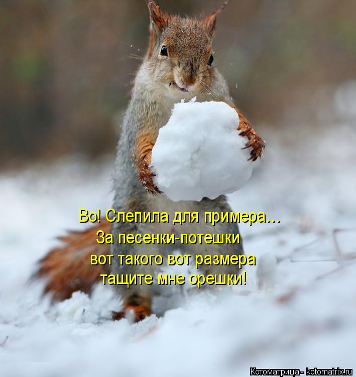 Во! Слепила для примера… За песенки-потешки вот такого вот размера тащите мне орешки!... Котоматрица: Во! Слепила для примера… За песенки-потешки вот такого вот размера тащите мне орешки!