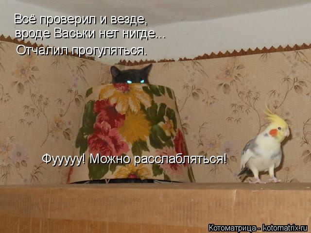 Всё проверил и везде, вроде Васьки нет нигде... Отчалил прогуляться. Фууууу! Можно расслабляться!... Котоматрица: Всё проверил и везде, вроде Васьки нет нигде... Отчалил прогуляться. Фууууу! Можно расслабляться!